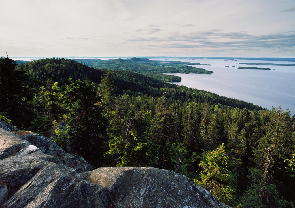 Lais Puzzle - Koli Nationalpark - 1.000 Teile p-342742