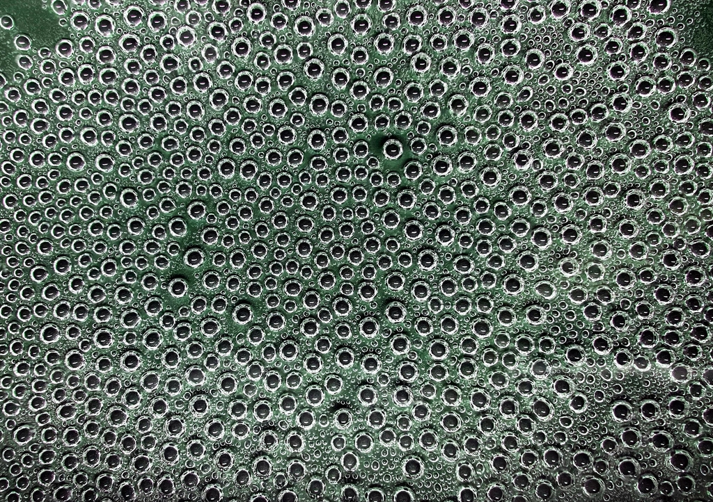 Lais Puzzle - Blasen. Tripophobie - unmögliches Rätsel - 1.000 Teile p-343013