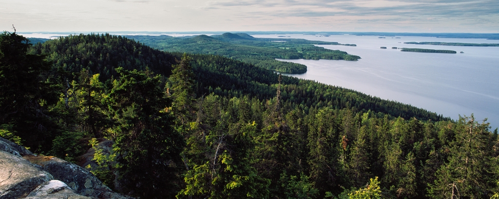 Lais Puzzle - Koli Nationalpark - 2.000 Teile p-344036