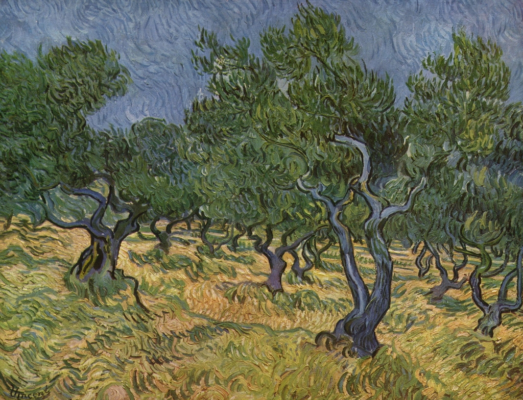 Lais Puzzle - Vincent Willem van Gogh - Olivenhain - 1.000 Teile p-348387