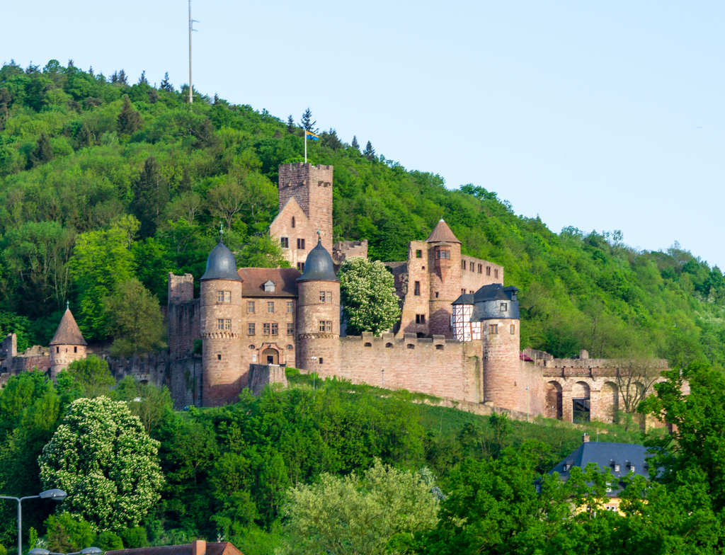 Lais Puzzle - Burg Wertheim - 1.000 Teile p-349321