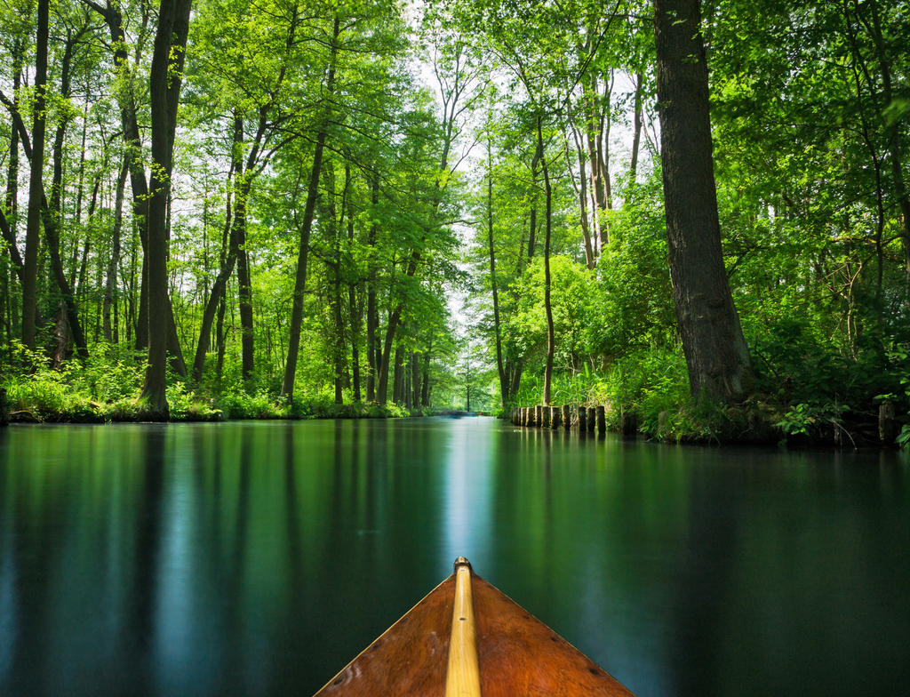 Lais Puzzle - Blick auf den Spreewald - Spree Wald, Deutschland - 1.000 Teile p-349598