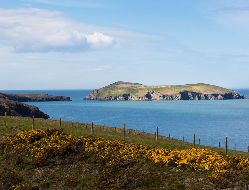 Lais Puzzle - Cardigan Island, Ceredigion, Wales - 1.000 Teile p-350098
