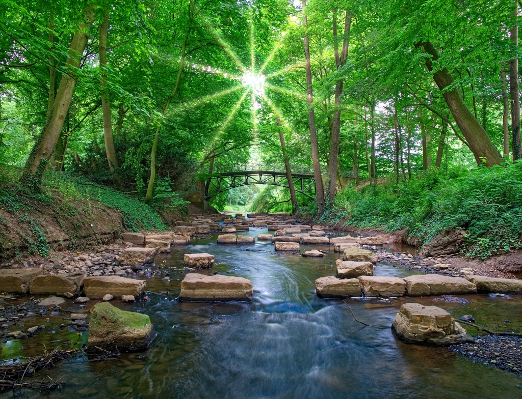 Lais Puzzle - Minden - 1.000 Teile p-350231