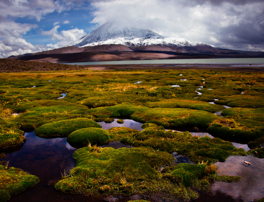 Lais Puzzle - Chile, Lauca-Nationalpark - 1.000 Teile p-350310
