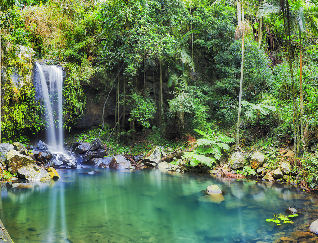 Lais Puzzle - Mount Tamborine, Queensland, Australien - 1.000 Teile p-350553