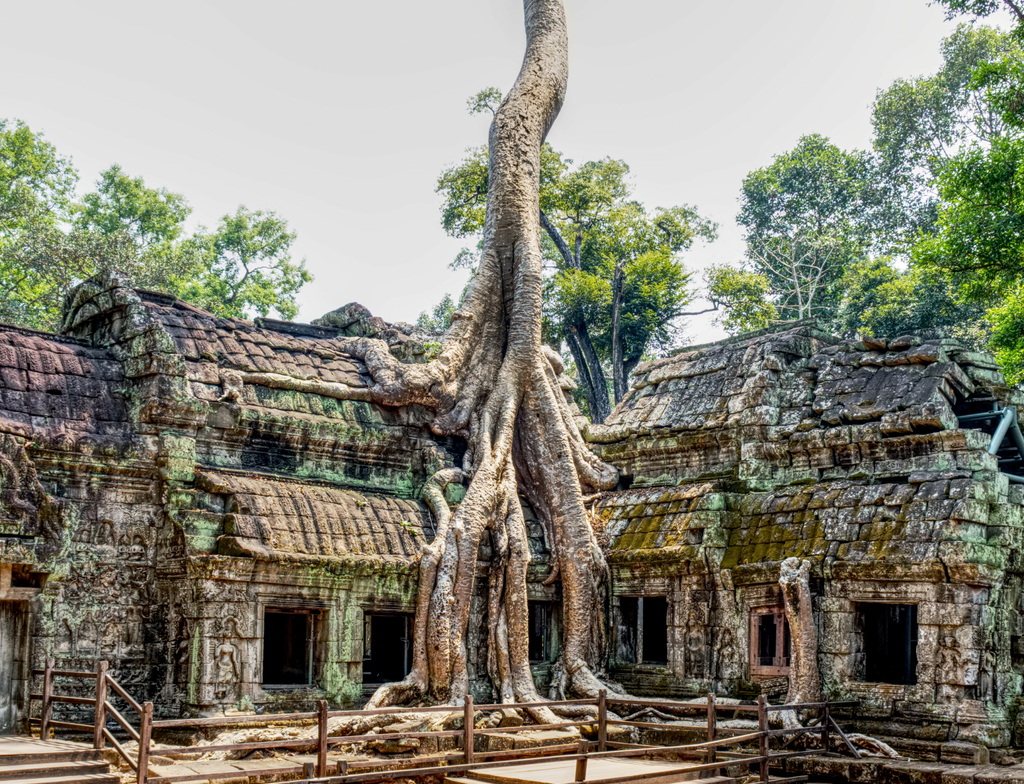 Lais Puzzle - Ta-Prohm-Tempel, Kambodscha - 1.000 Teile p-351713