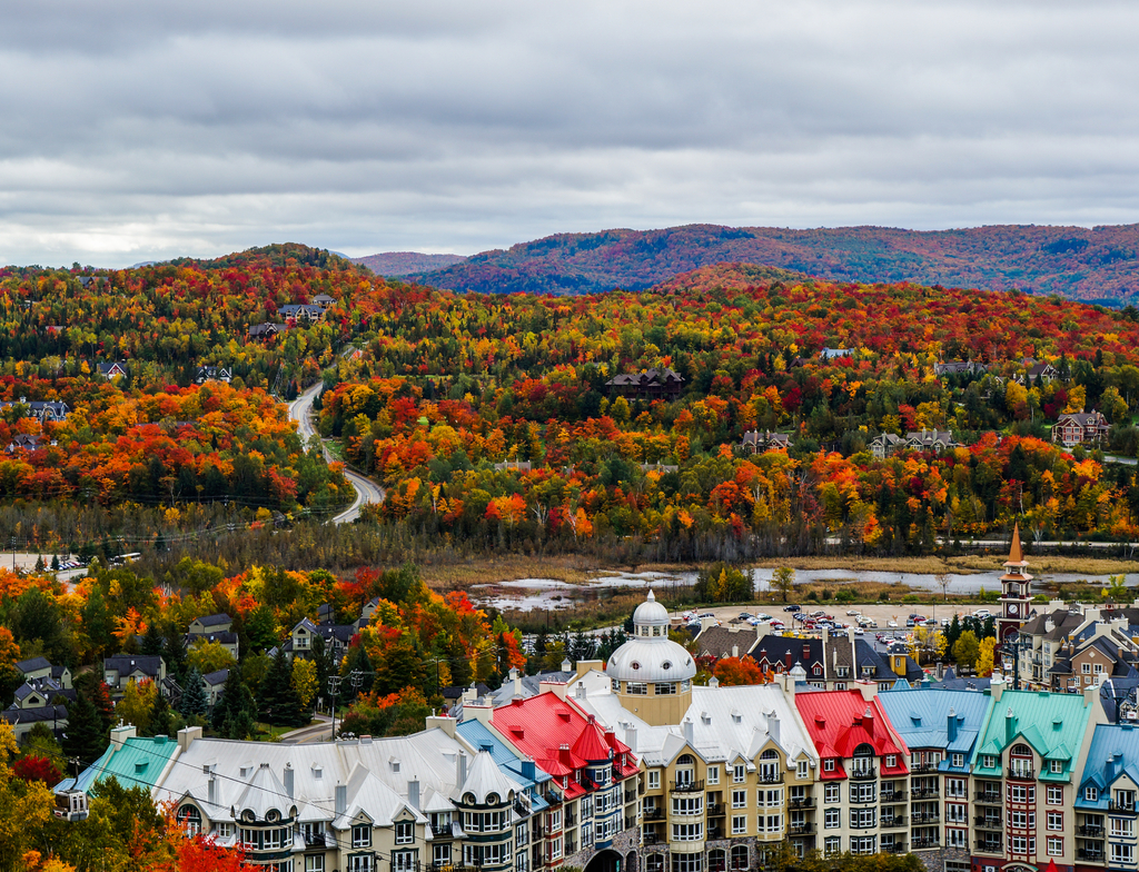 Lais Puzzle - Wunderschöne Herbstfarben in der Umgebung des Ferienortes Mont Tremblant, Québec, Kanada - 1.000 Teile p-351722