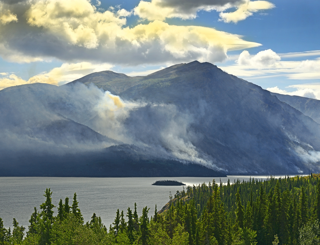 Lais Puzzle - Tagish Lake, Yukon Territorium, Kanada - 1.000 Teile p-351744