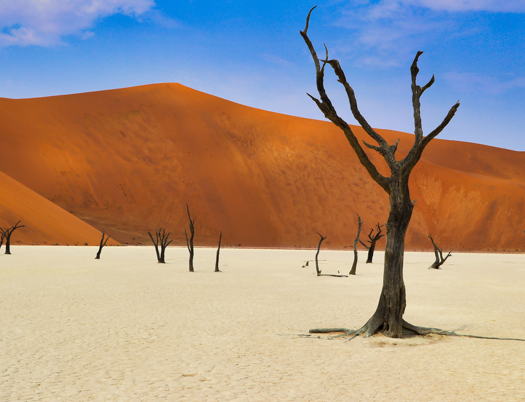 Lais Puzzle - Totes Vlei (Namib-Naukluft Park) - Namibia Afrika - 1.000 Teile p-351877