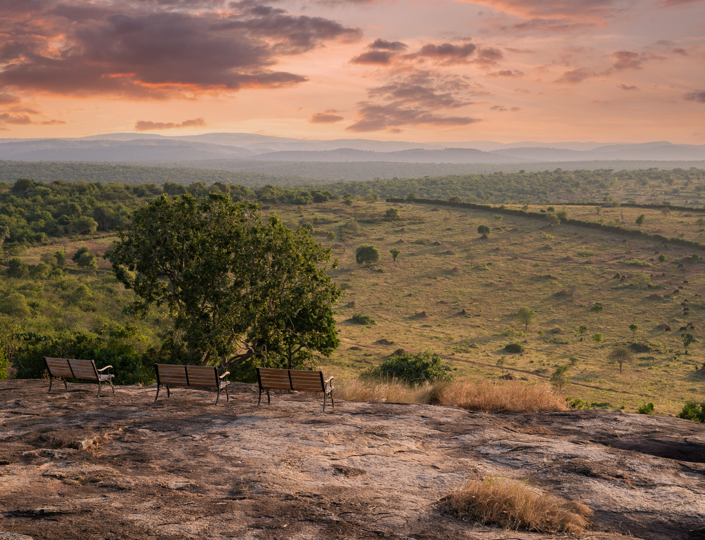 Lais Puzzle - Mburo-See-Nationalpark, Uganda - 1.000 Teile p-352395