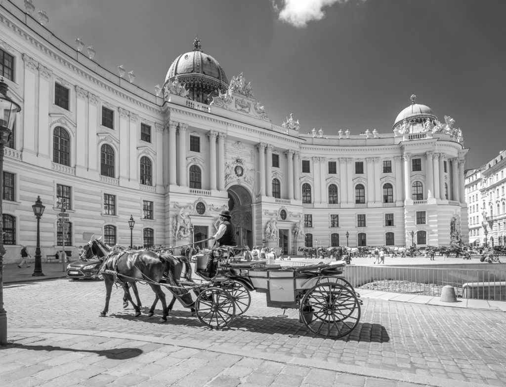 Lais Puzzle - Fiaker vor der Alten Hofburg, Wien, Österreich in schwarz weiß - 1.000 Teile p-352511