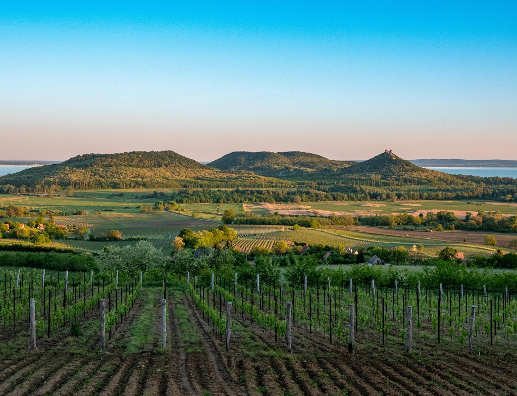 Lais Puzzle - Weinberge und der Berg Badacsony mit dem Plattensee bei Sonnenuntergang in Ungarn - 1.000 Teile p-352944