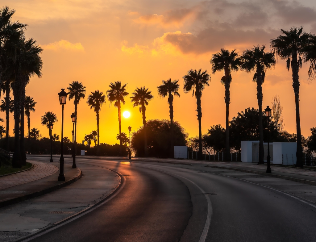 Lais Puzzle - Schöner Sonnenuntergang an einer palmengesäumten Küstenstraße von Conil de la Frontera in Südspanien - 1.000 Teile p-353938