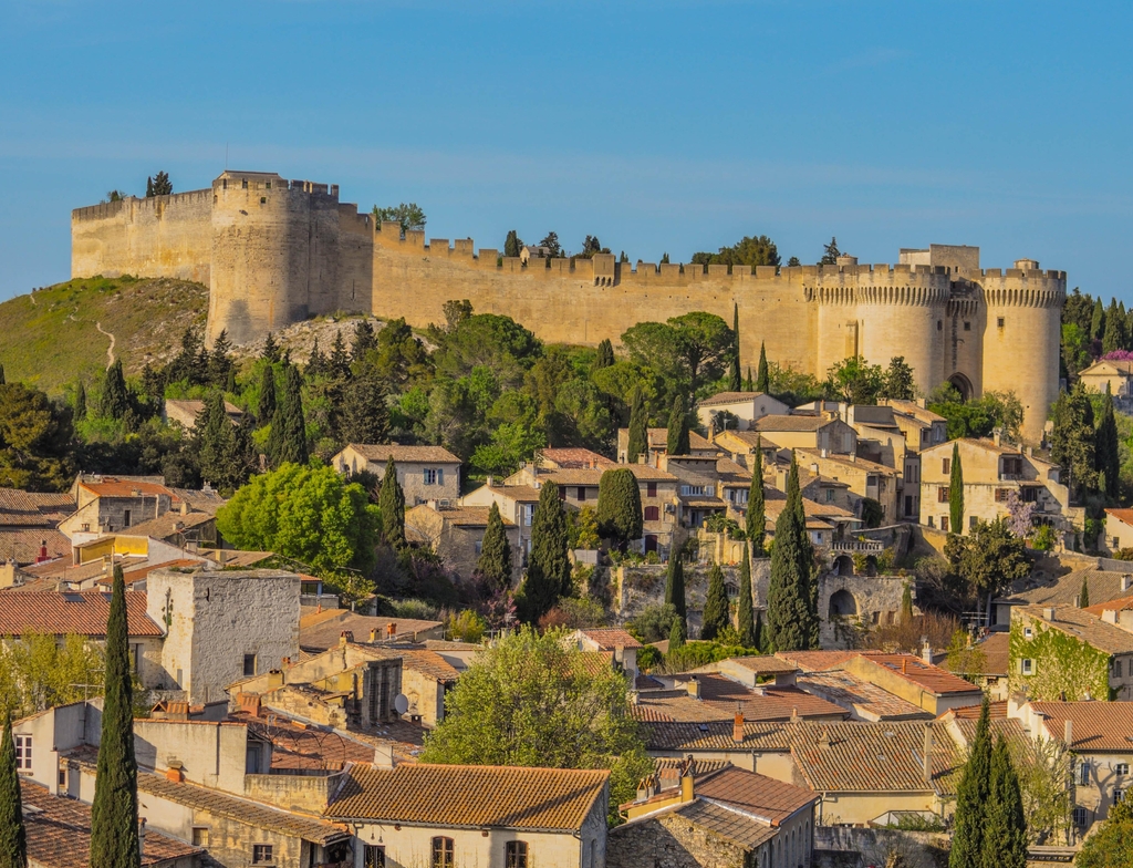 Lais Puzzle - Fort Saint-André à Villeneuve-lès-Avignon Frankreich - 1.000 Teile p-354240