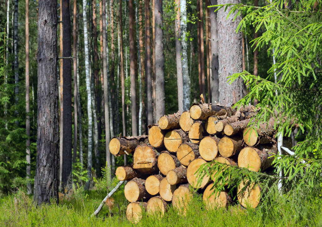 Lais Puzzle - Holzhaufen - 100, 200, 500 & 1.000 Teile p-601