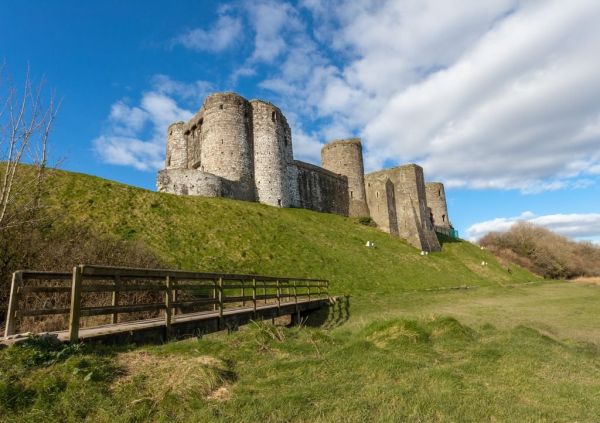Lais Puzzle „Milchkühe Auf Einem Feld In Carmarthenshire, Wales“ – 1000 Teile, Hochwertig Gestanzt, Mit Motiv-Schachtel