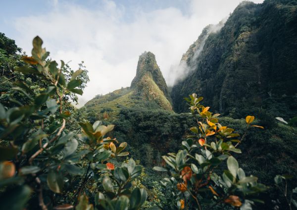 Lais Puzzle „Dorf In Martinique“ – 2000 Teile Für Kniffligen Puzzlespaß
