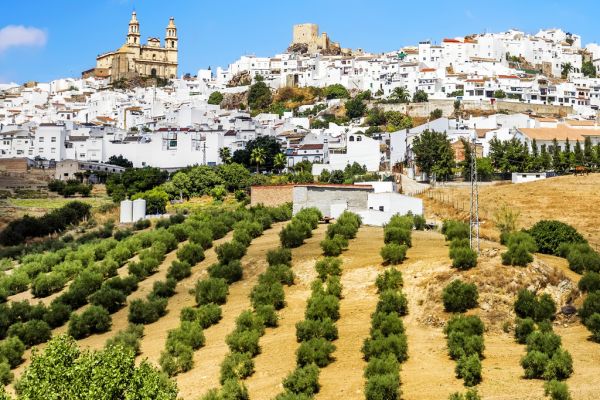Lais Puzzle Pueblo Blancos Olvera, Cadiz, Andalusien, Spanien 2.000