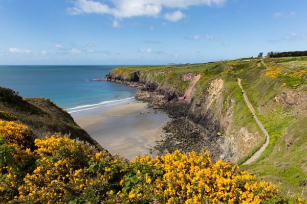 Lais Puzzle 1000 Pezzi Tenby Pembrokeshire, Paesaggio Marino Del Galles, Per Adulti E Ragazzi