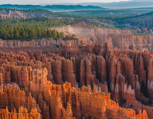 Puzzle 1000 Pezzi Lais: Toroweap Point, Grand Canyon - Panorami Mozzafiato