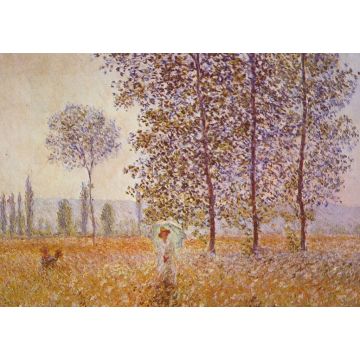 Lais Puzzle - Claude Monet - Pappeln im Sonnenlicht - 1.000 Teile