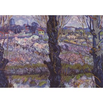 Lais Puzzle - Vincent Willem van Gogh - Blick auf Arles - 1.000 Teile
