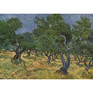 Lais Puzzle - Vincent Willem van Gogh - Olivenhain - 1.000 Teile
