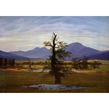 Lais Puzzle - Caspar David Friedrich - Einsamer Baum (Dorflandschaft bei Morgenbeleuchtung, Harzlandschaft) - 1.000 Teile