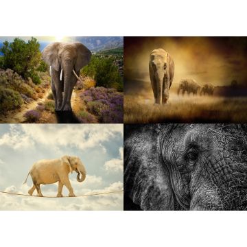 Lais Puzzle - Collage Elefanten - 500 & 1.000 Teile