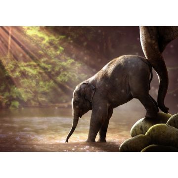 Lais Puzzle - Elefant - 1.000 Teile