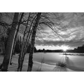 Lais Puzzle - Winterlandschaft schwarz weiß - 1.000 Teile