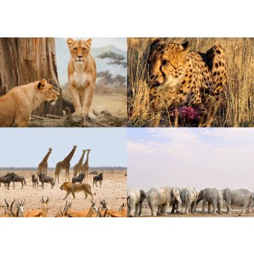 Lais Puzzle - Collage Afrikanische Tiere - 500 & 1.000 Teile