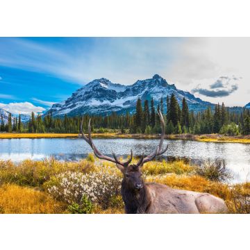 Lais Puzzle - Hirsch in Berglandschaft - 100, 200, 500 & 1.000 Teile