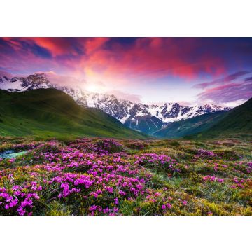 Lais Puzzle - Berglandschaft - 100, 200, 500 & 1.000 Teile