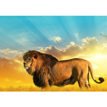 Lais Puzzle - Löwe - 100, 200, 500 & 1.000 Teile