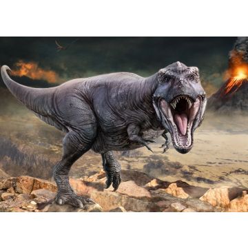 Lais Puzzle - Tyrannosaurus rex - 100, 200, 500 & 1.000 Teile