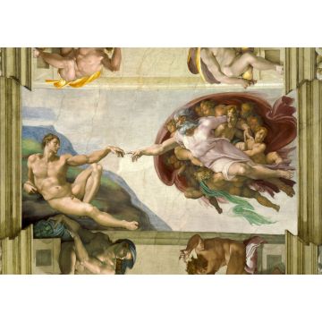Lais Puzzle - Michelangelo - 100, 200, 500 & 1.000 Teile