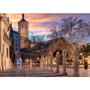Lais Puzzle - Valladolid - 500 & 1.000 Teile