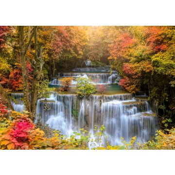 Lais Puzzle - Wasserfall im Wald - 500 & 1.000 Teile