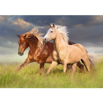 Lais Puzzle - Rotes Pferd und Palominopferd mit langer blonder Mähne in Bewegung auf Feld - 100, 200, 500 & 1.000 Teile