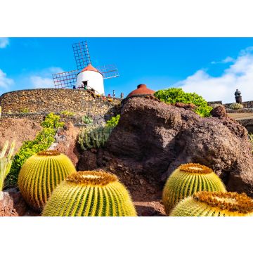 Lais Puzzle - Kaktusgarten, Jardin de Cactus in Guatiza, Lanzarote, Kanarische Inseln, Spanien - 100, 200, 500 & 1.000 Teile