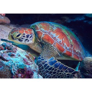 Lais Puzzle - Schildkröte / Wasserschildkröte - 1.000 Teile