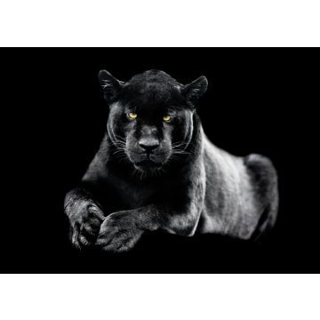 Lais Puzzle - Jaguar - 100, 200, 500 & 1.000 Teile