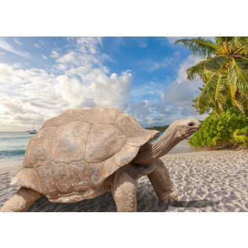 Lais Puzzle - Schildkröte am Strand, Seychellen - 100, 200, 500 & 1.000 Teile