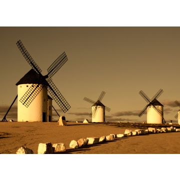 Lais Puzzle - Windmühlen von Campo de Criptana - 500 & 1.000 Teile