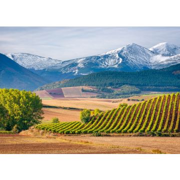 Lais Puzzle - Weinberge mit San Lorenzo Berg als Hintergrund, La Rioja, Spanien - 100, 200, 500 & 1.000 Teile