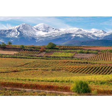 Lais Puzzle - Weinberge mit San Lorenzo Berg als Hintergrund, La Rioja, Spanien - 100, 200, 500 & 1.000 Teile