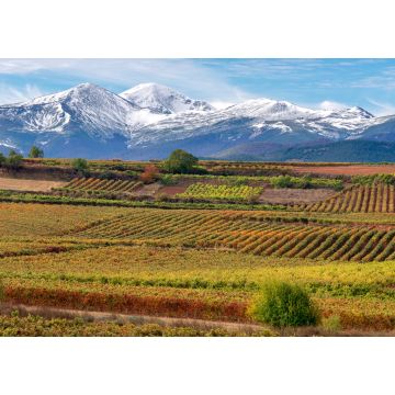Lais Puzzle - Weinberge mit San Lorenzo Berg als Hintergrund, La Rioja, Spanien - 1.000 Teile