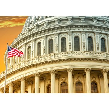 Lais Puzzle - United States Capitol, Washington D.C. - 100, 200, 500 & 1.000 Teile